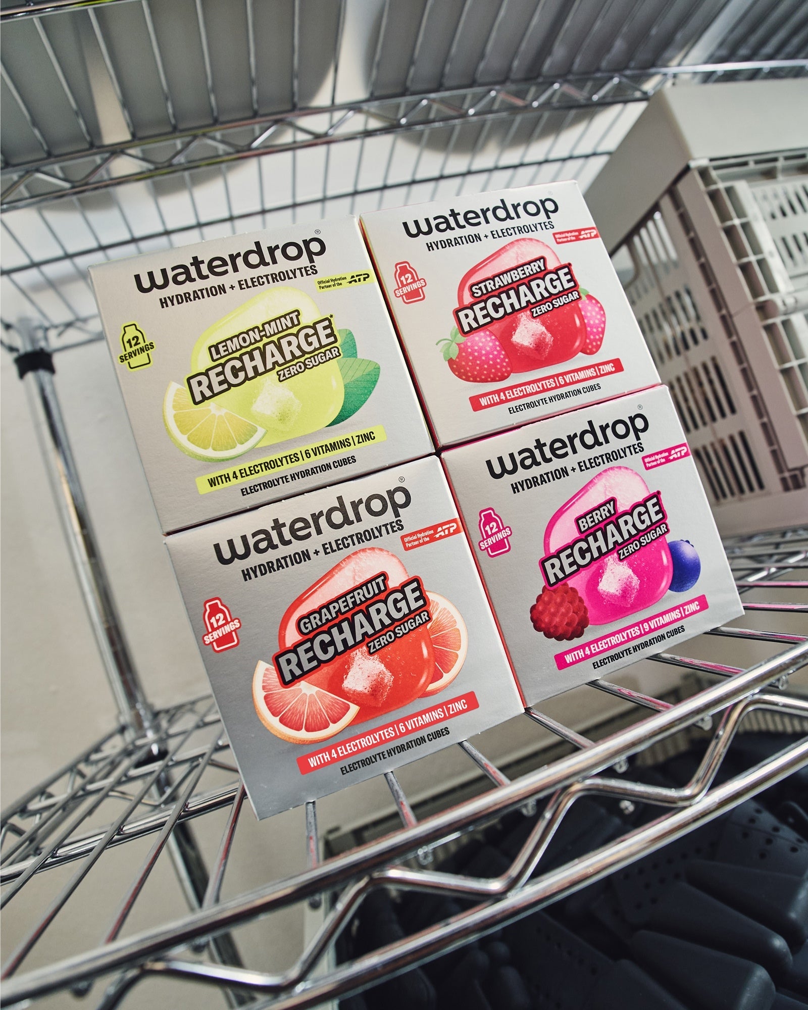 Set Microlyte RECHARGE