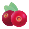 MIRTILLO ROSSO E ACEROLA · IMMUNITY