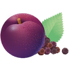 PRUGNA SPEZIATA · IMMUNITY